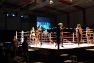 Superior MMA vol 2 © Konstantin Harin