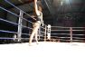 Superior MMA vol 2 © Konstantin Harin
