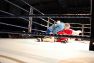 Superior MMA vol 2 © Konstantin Harin