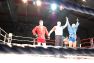Superior MMA vol 2 © Konstantin Harin