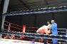 Superior MMA vol 2 © Konstantin Harin