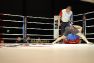 Superior MMA vol 2 © Konstantin Harin
