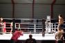 Superior MMA vol 2 © Konstantin Harin