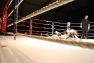 Superior MMA vol 2 © Konstantin Harin