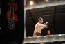 Superior MMA vol 2 © Konstantin Harin