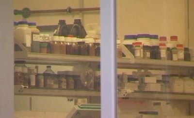 Диоксиновая продукция появилась в Германии почти год назад. Телекадр N24 Диоксиновая продукция появилась в Германии почти год назад. Телекадр N24