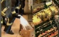 Банановый паук сорвал работу немецкого супермаркета
