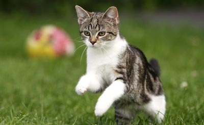 © Nadine Haase - Fotolia